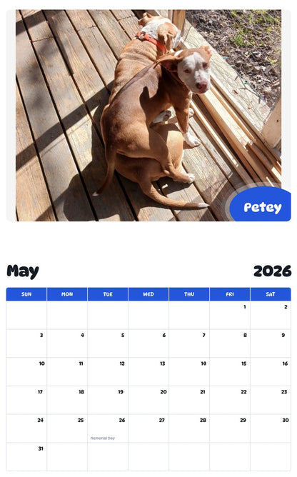2026 - 2027 Petey - Pawidols Pet Calendar
