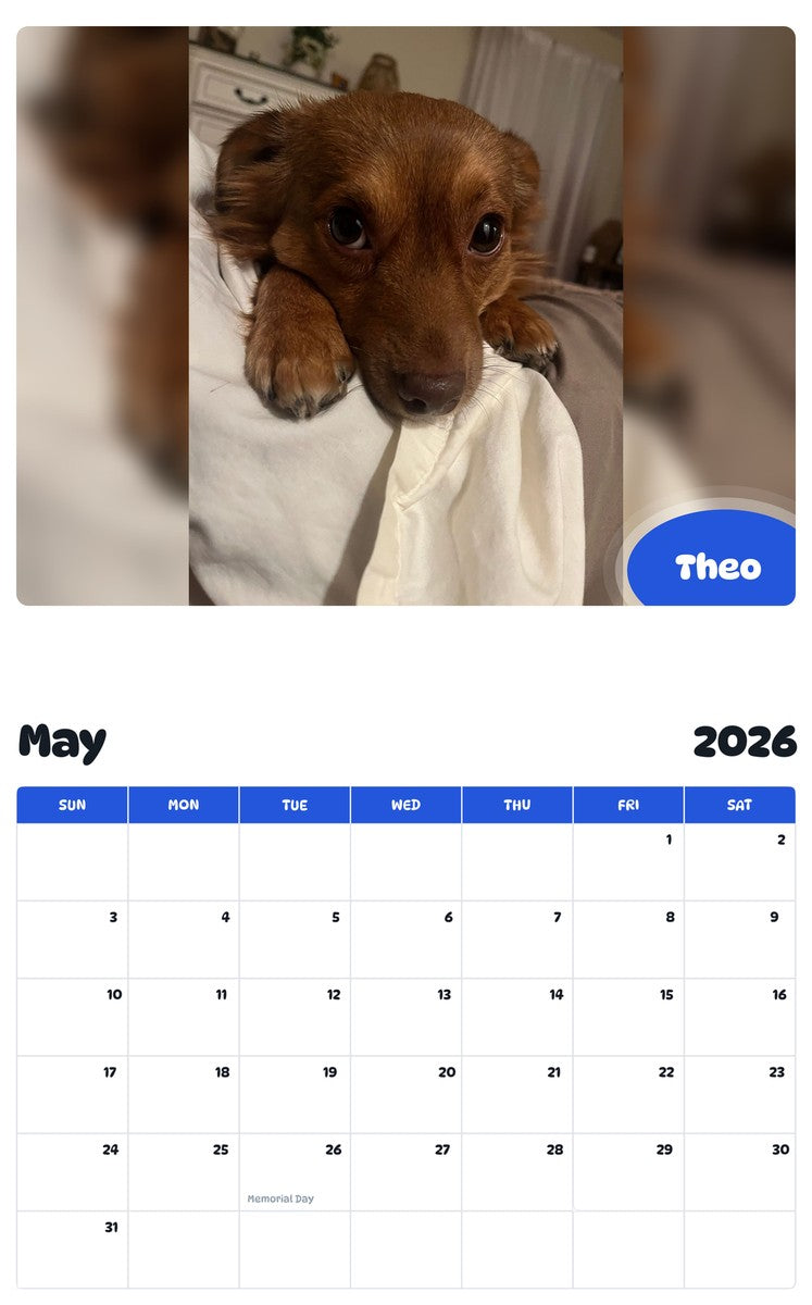2026 - 2027 Theo - Pawidols Pet Calendar