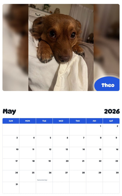 2026 - 2027 Theo - Pawidols Pet Calendar