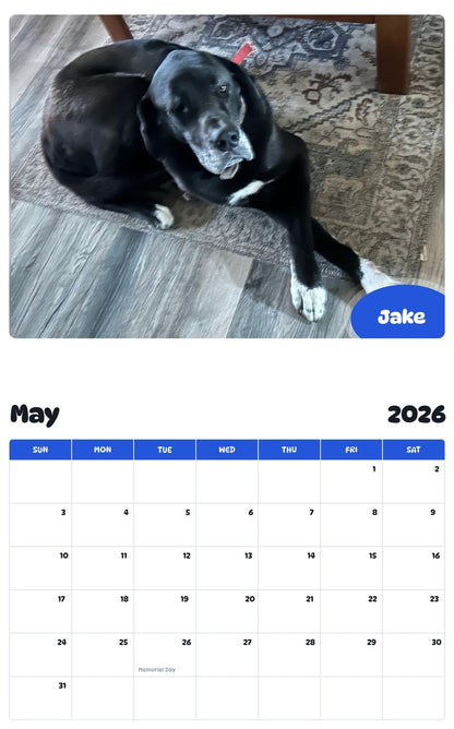 2026 - 2027 Jake - Pawidols Pet Calendar