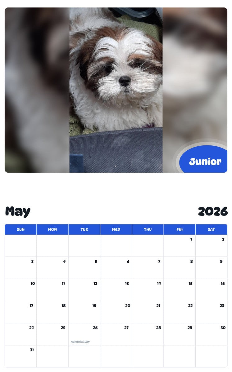 2026 - 2027 Junior - Pawidols Pet Calendar