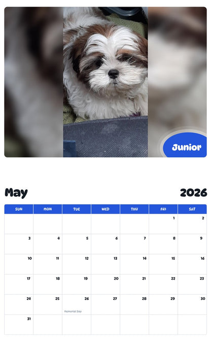 2026 - 2027 Junior - Pawidols Pet Calendar