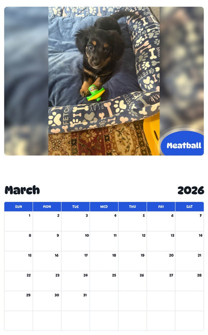 November 2025 - October 2026 Meatball - Pawidols Pet Calendar