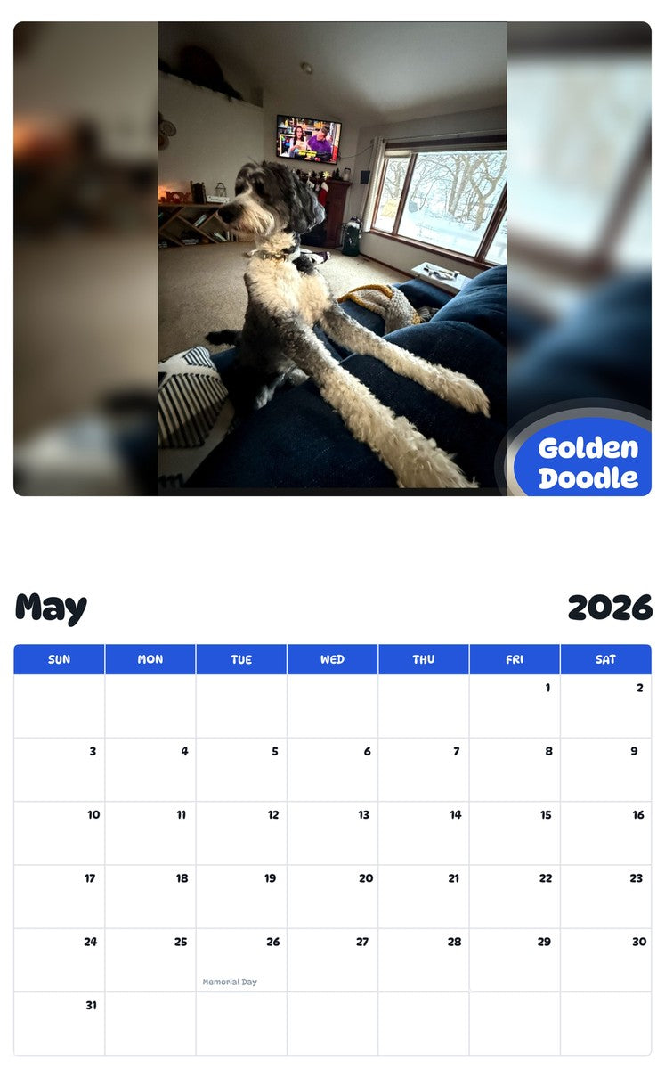 2026 - 2027 Golden Doodle - Pawidols Pet Calendar