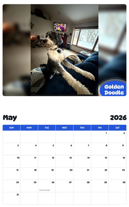 2026 - 2027 Golden Doodle - Pawidols Pet Calendar