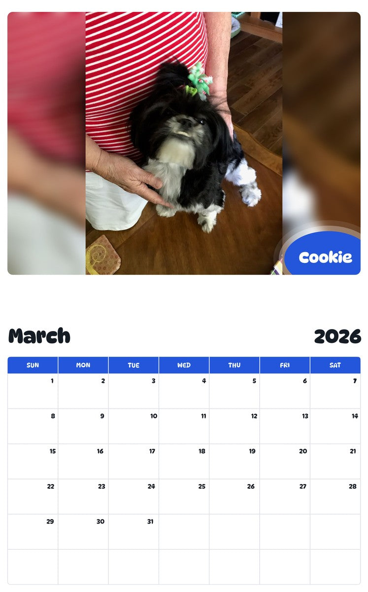 November 2025 - October 2026 Cookie - Pawidols Pet Calendar