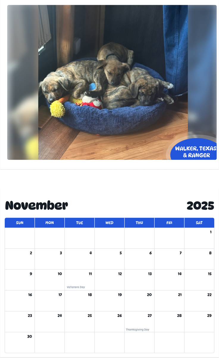 July 2025 - June 2026 Walker, Texas, & Ranger - Pawidols Pet Calendar