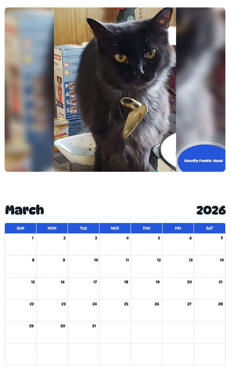 November 2025 - October 2026 Scruffy Punkin  Head - Pawidols Pet Calendar