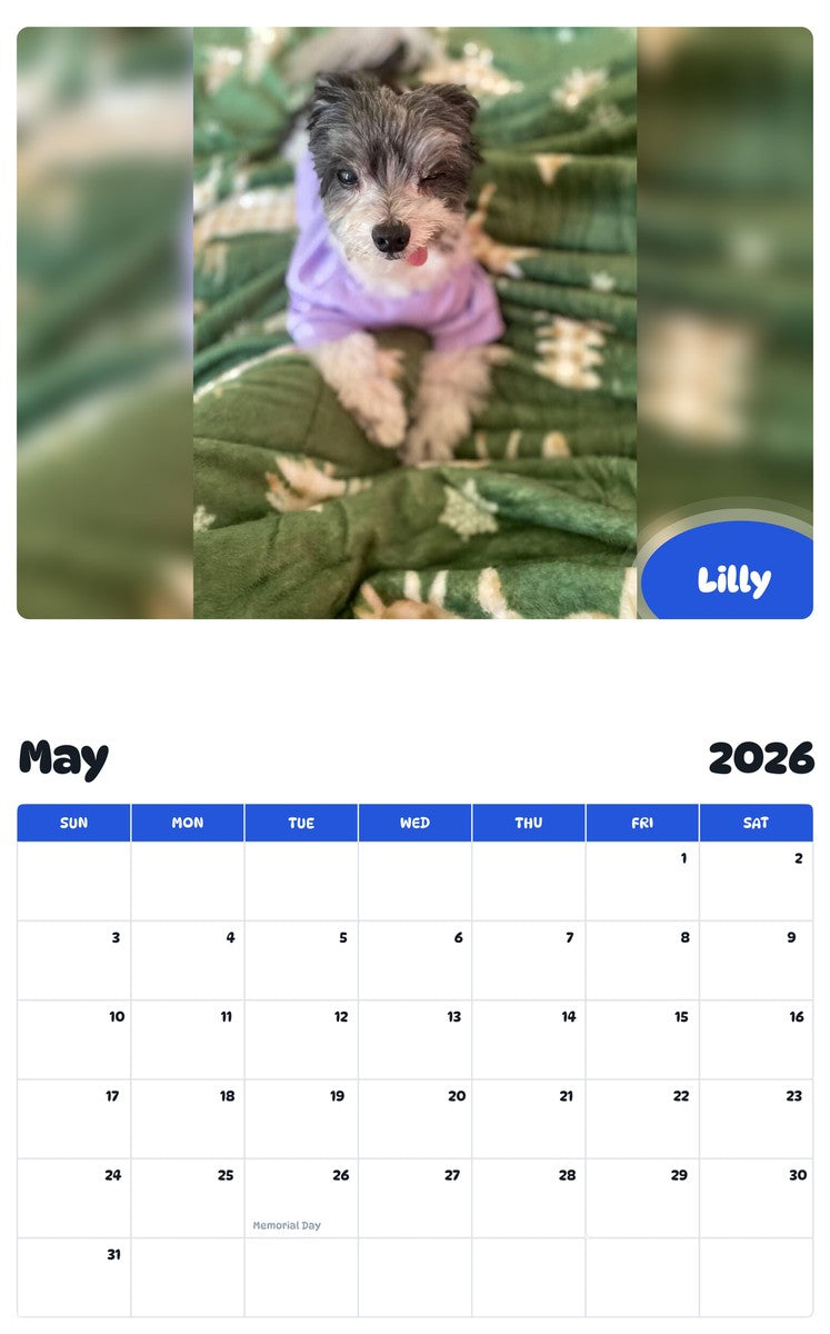 2026 - 2027 Lilly - Pawidols Pet Calendar