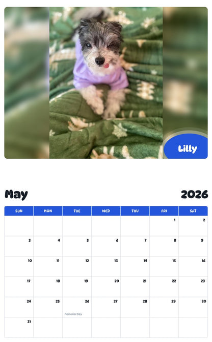 2026 - 2027 Lilly - Pawidols Pet Calendar