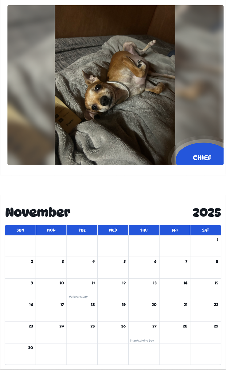 July 2025 - June 2026 Chief - Pawidols Pet Calendar