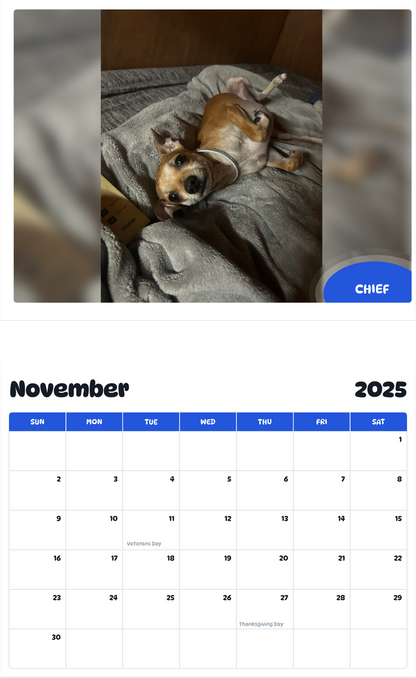July 2025 - June 2026 Chief - Pawidols Pet Calendar