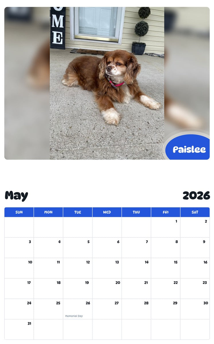 2026 - 2027 Paislee - Pawidols Pet Calendar