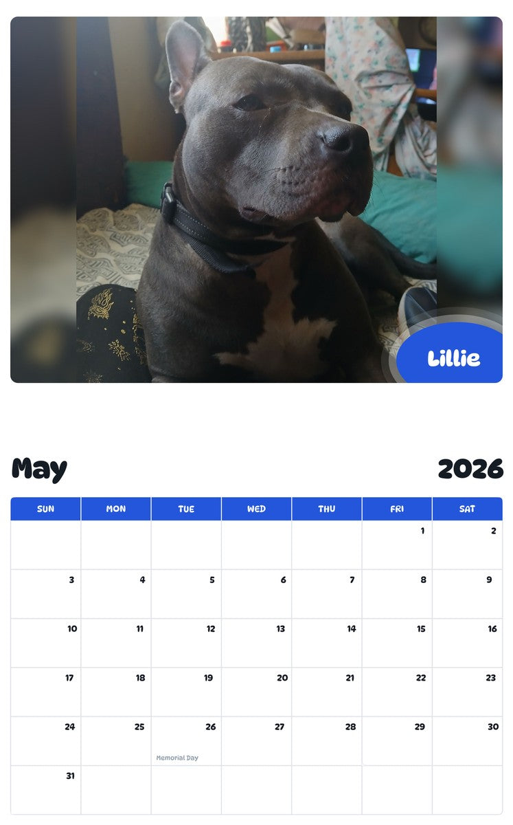 2026 - 2027 Lillie - Pawidols Pet Calendar