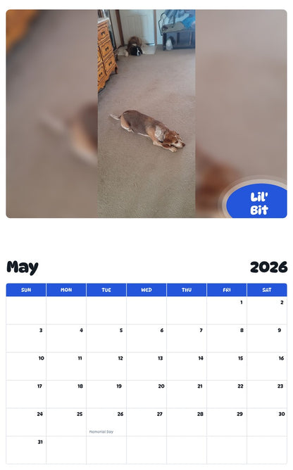 2026 - 2027 Lil' Bit - Pawidols Pet Calendar
