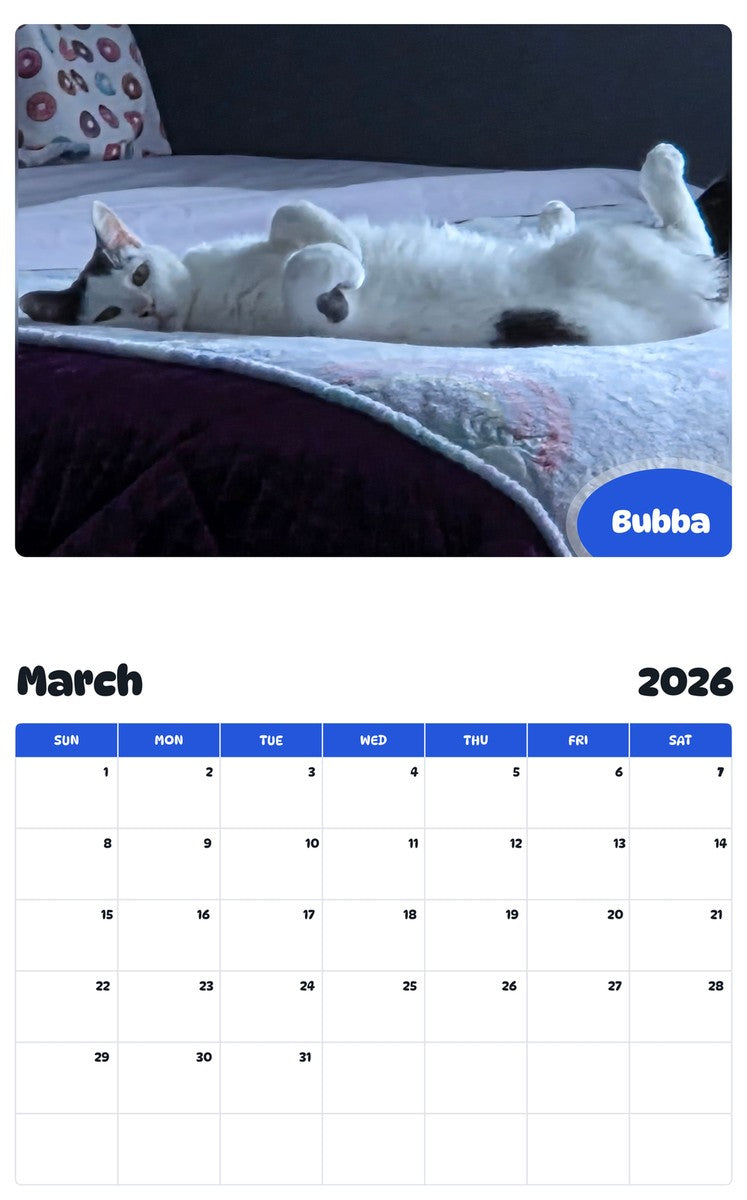 November 2025 - October 2026 Bubba - Pawidols Pet Calendar