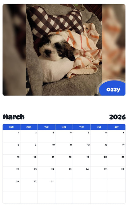 November 2025 - October 2026 Ozzy - Pawidols Pet Calendar