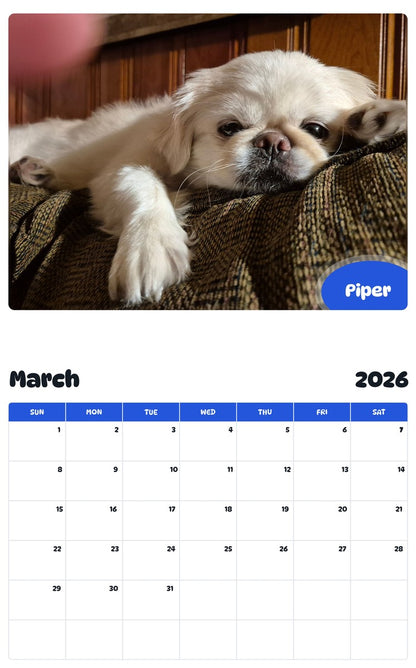 November 2025 - October 2026 Piper - Pawidols Pet Calendar