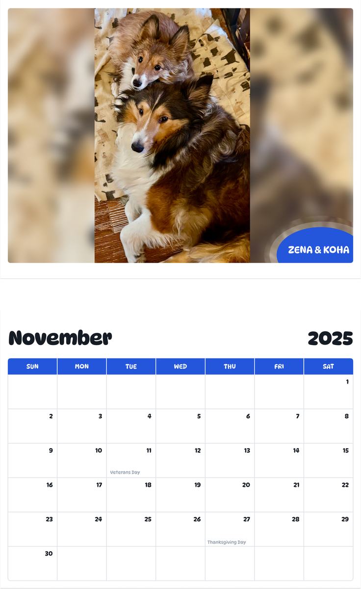 July 2025 - June 2026 Zena & Koha - Pawidols Pet Calendar