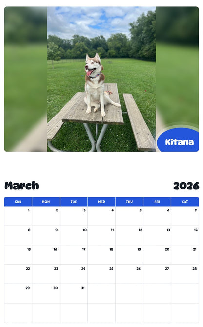 November 2025 - October 2026 Kitana - Pawidols Pet Calendar