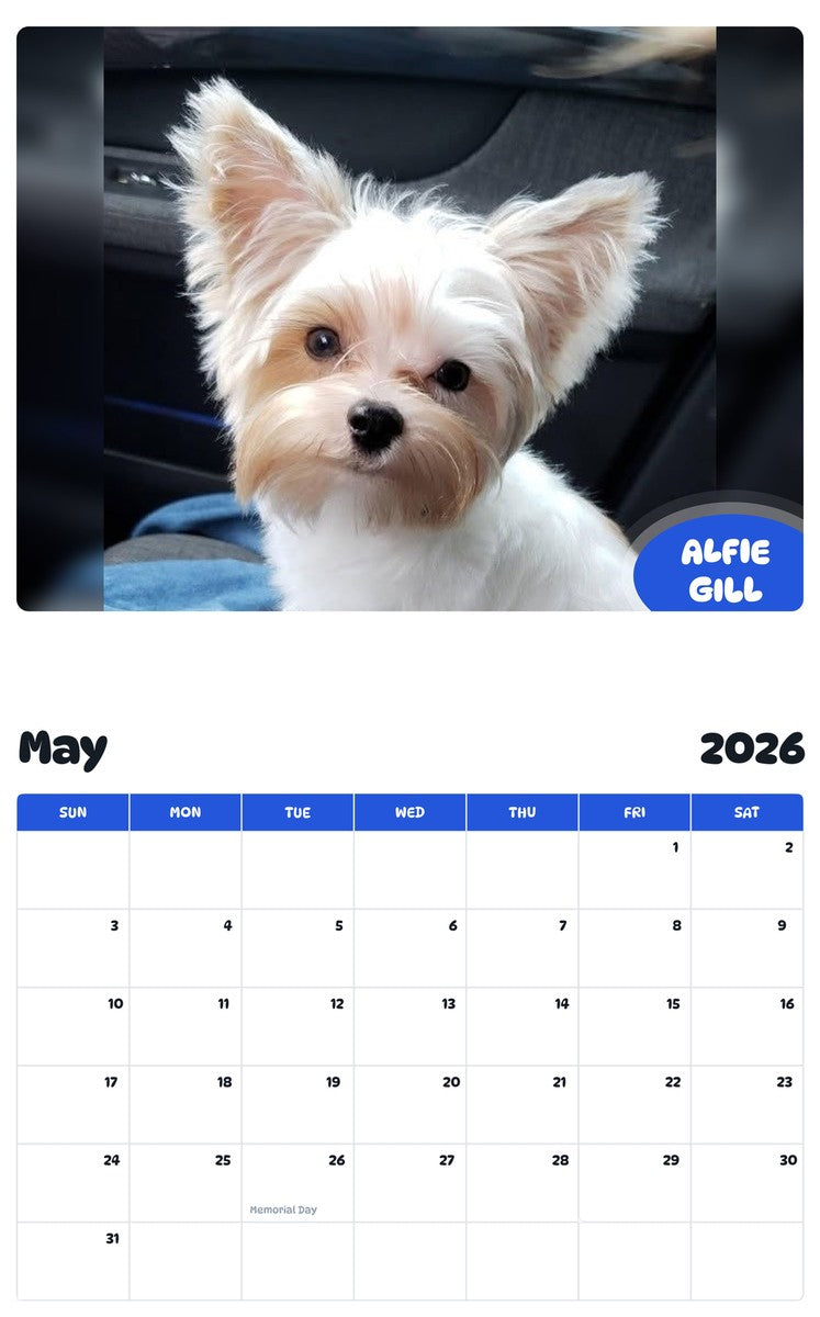 2026 - 2027 ALFIE GILL - Pawidols Pet Calendar