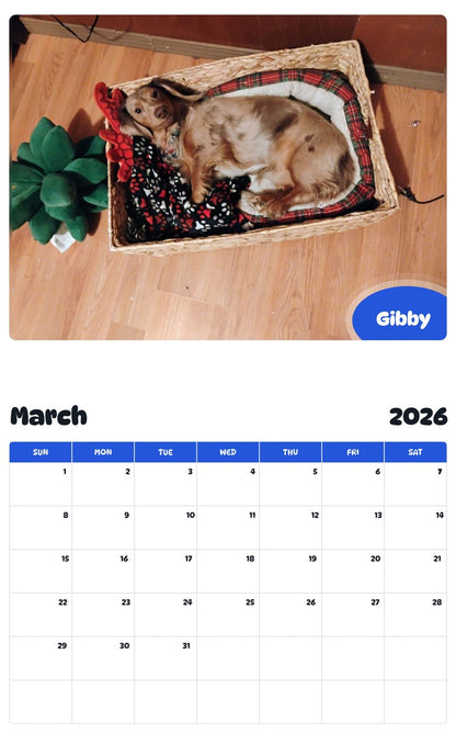 November 2025 - October 2026 Gibby - Pawidols Pet Calendar