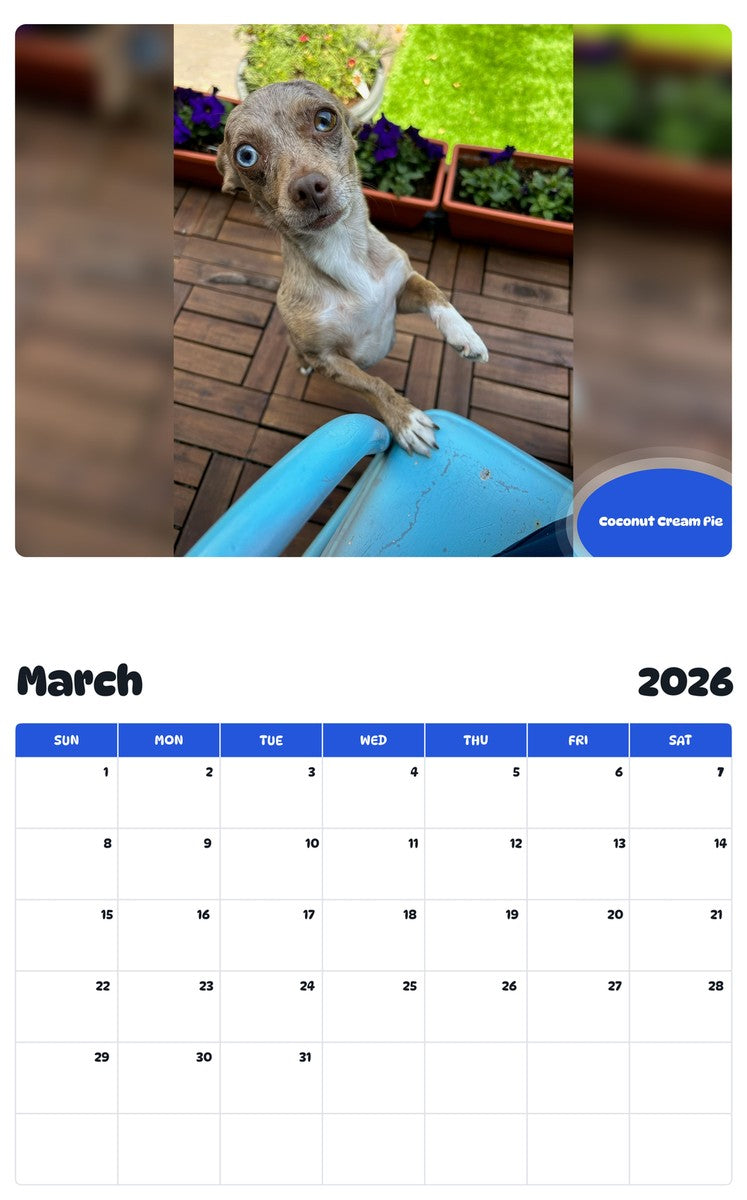 November 2025 - October 2026 Coconut Cream Pie - Pawidols Pet Calendar