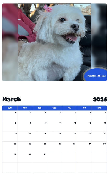 November 2025 - October 2026 Beso Marie Thomas - Pawidols Pet Calendar