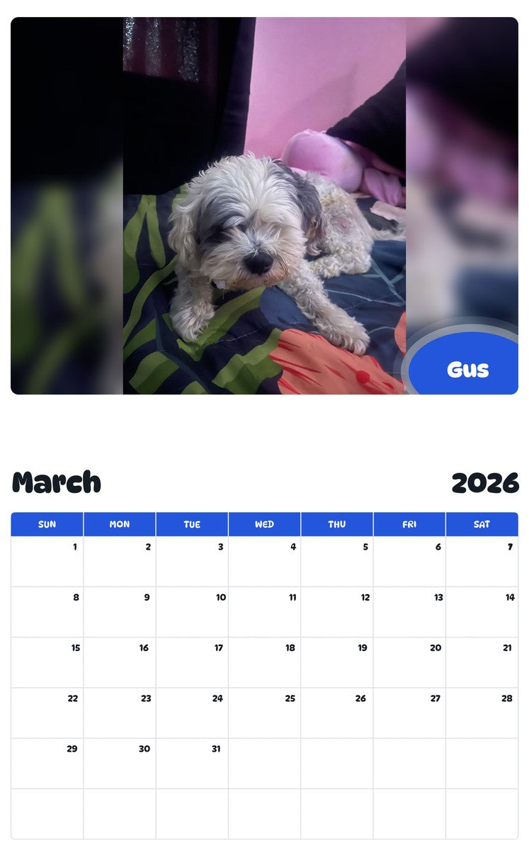 November 2025 - October 2026 Gus - Pawidols Pet Calendar