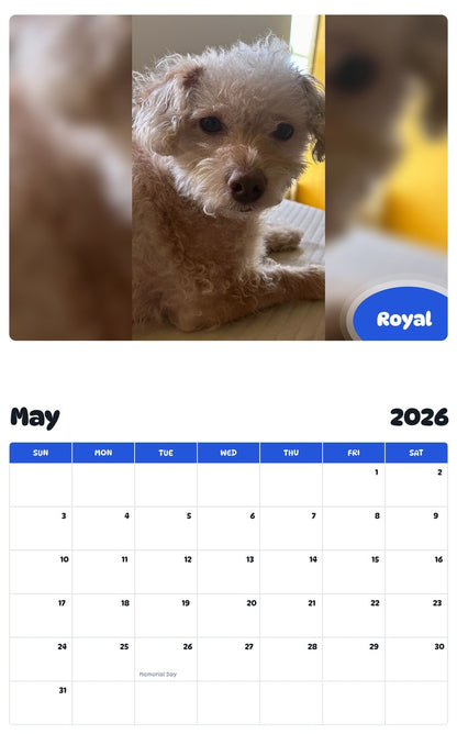2026 - 2027 Royal - Pawidols Pet Calendar