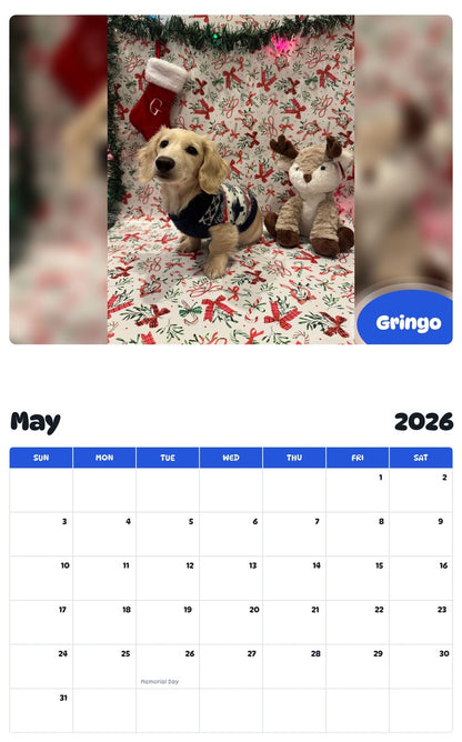 2026 - 2027 Gringo - Pawidols Pet Calendar