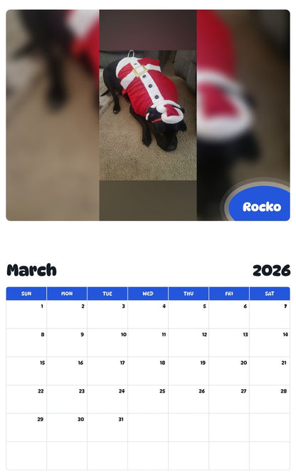 November 2025 - October 2026 Rocko - Pawidols Pet Calendar