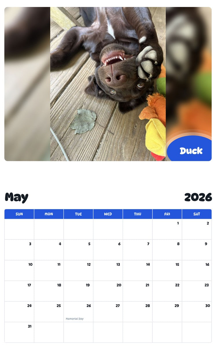 2026 - 2027 Duck - Pawidols Pet Calendar