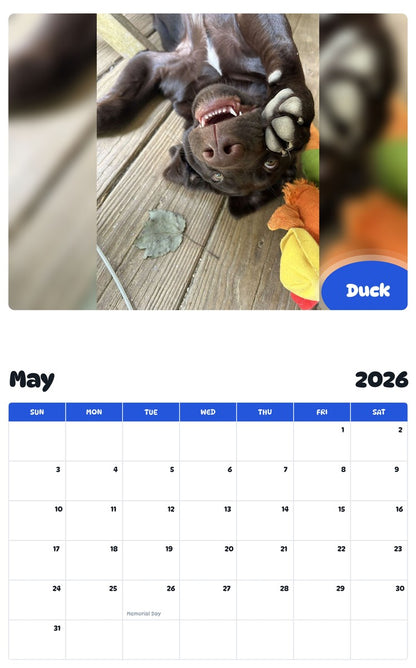 2026 - 2027 Duck - Pawidols Pet Calendar