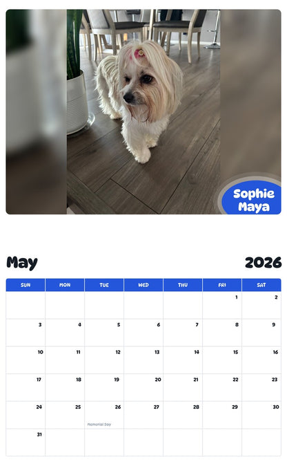 2026 - 2027 Sophie Maya - Pawidols Pet Calendar
