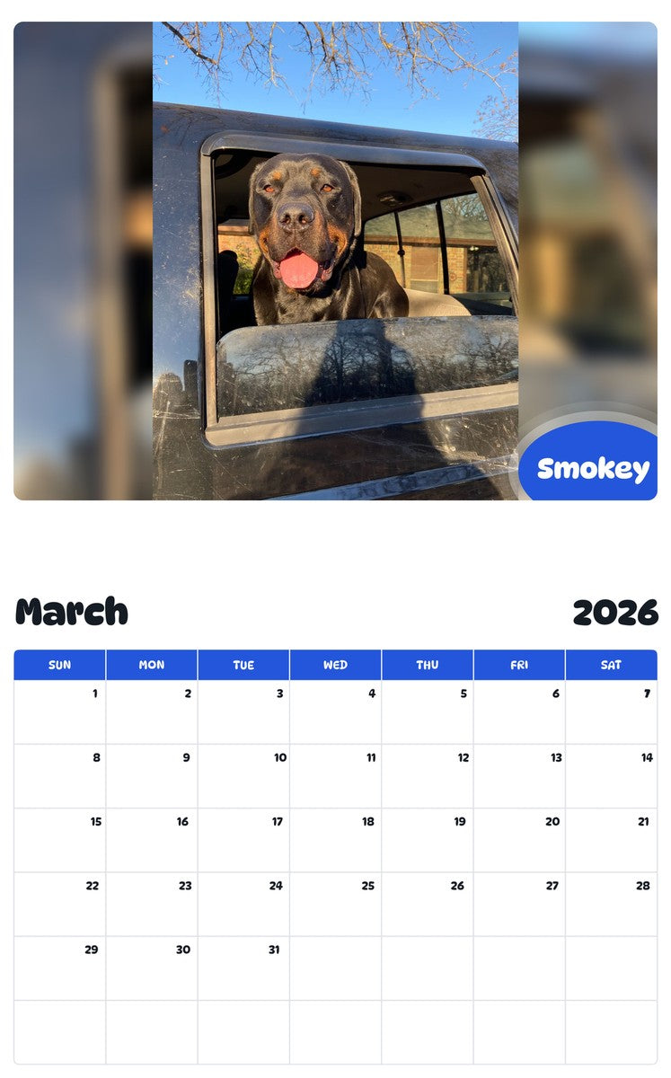 November 2025 - October 2026 Smokey - Pawidols Pet Calendar