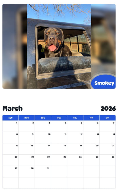 November 2025 - October 2026 Smokey - Pawidols Pet Calendar