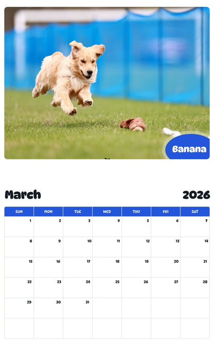 November 2025 - October 2026 Banana - Pawidols Pet Calendar
