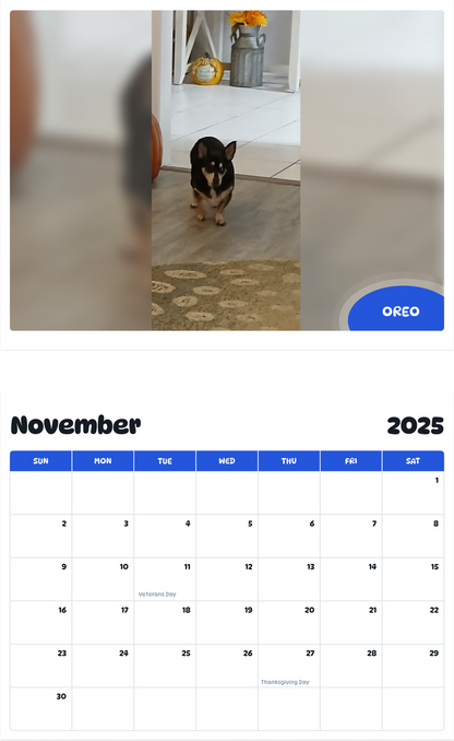 July 2025 - June 2026 Oreo - Pawidols Pet Calendar
