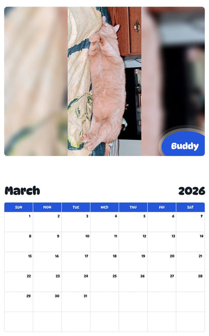 November 2025 - October 2026 Buddy - Pawidols Pet Calendar