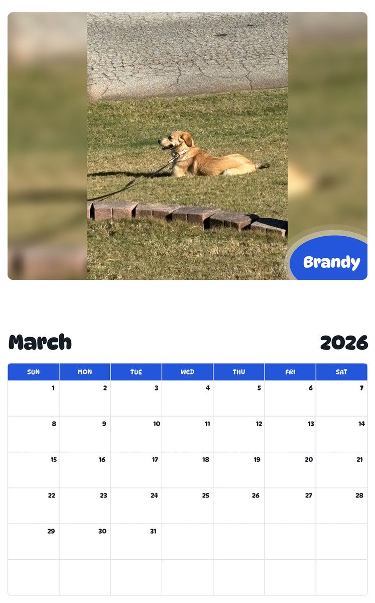 November 2025 - October 2026 Brandy - Pawidols Pet Calendar