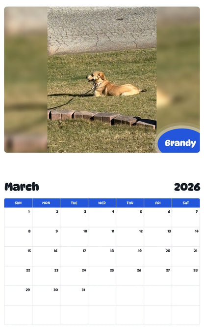 November 2025 - October 2026 Brandy - Pawidols Pet Calendar