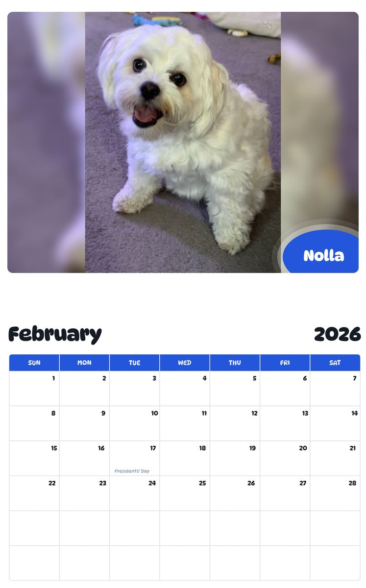 October 2025 - September 2026 Nolla - Pawidols Pet Calendar