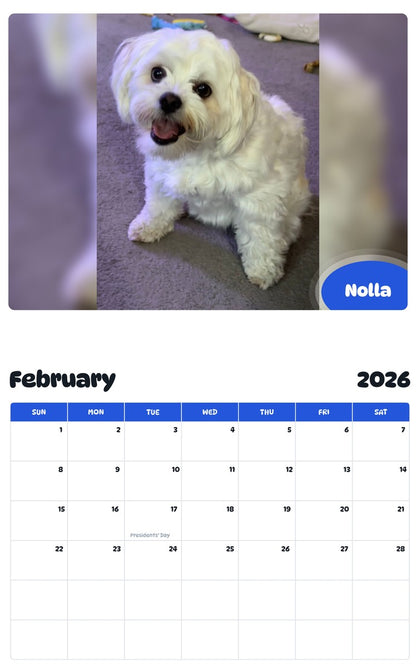 October 2025 - September 2026 Nolla - Pawidols Pet Calendar