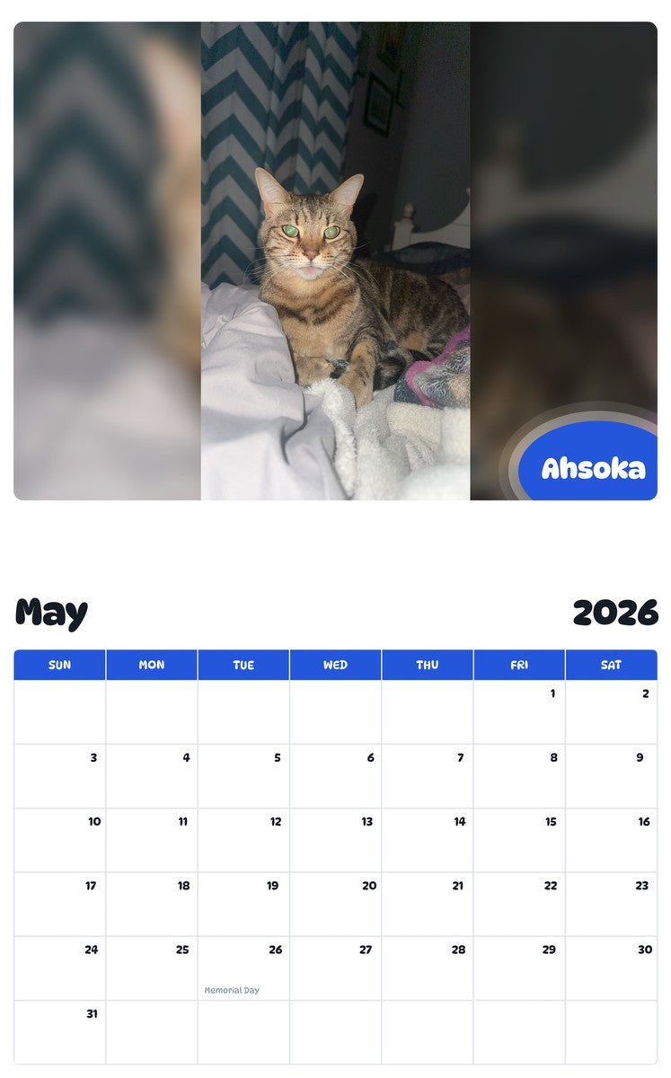 2026 - 2027 Ahsoka - Pawidols Pet Calendar