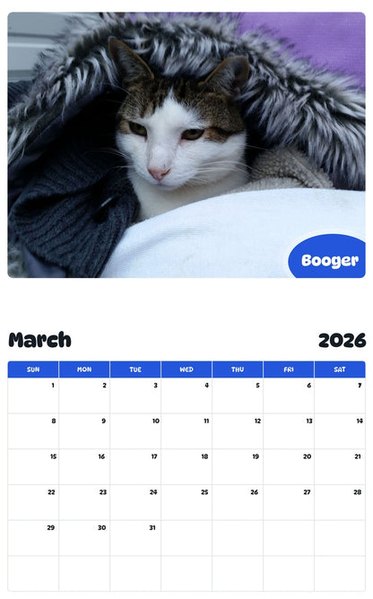 November 2025 - October 2026 Booger - Pawidols Pet Calendar