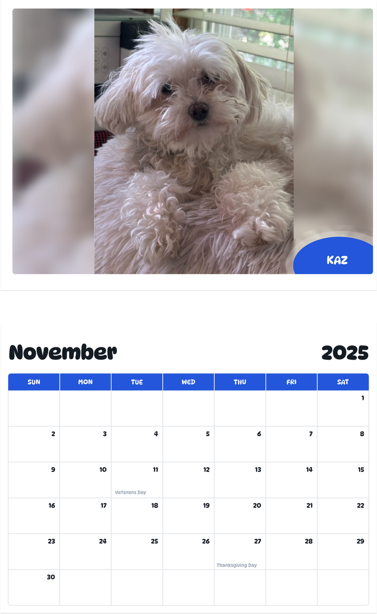 July 2025 - June 2026 Kaz - Pawidols Pet Calendar