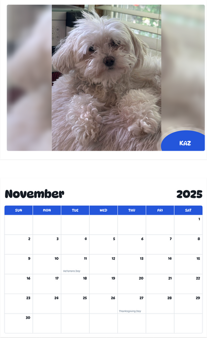 July 2025 - June 2026 Kaz - Pawidols Pet Calendar