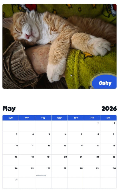 2026 - 2027 Baby - Pawidols Pet Calendar