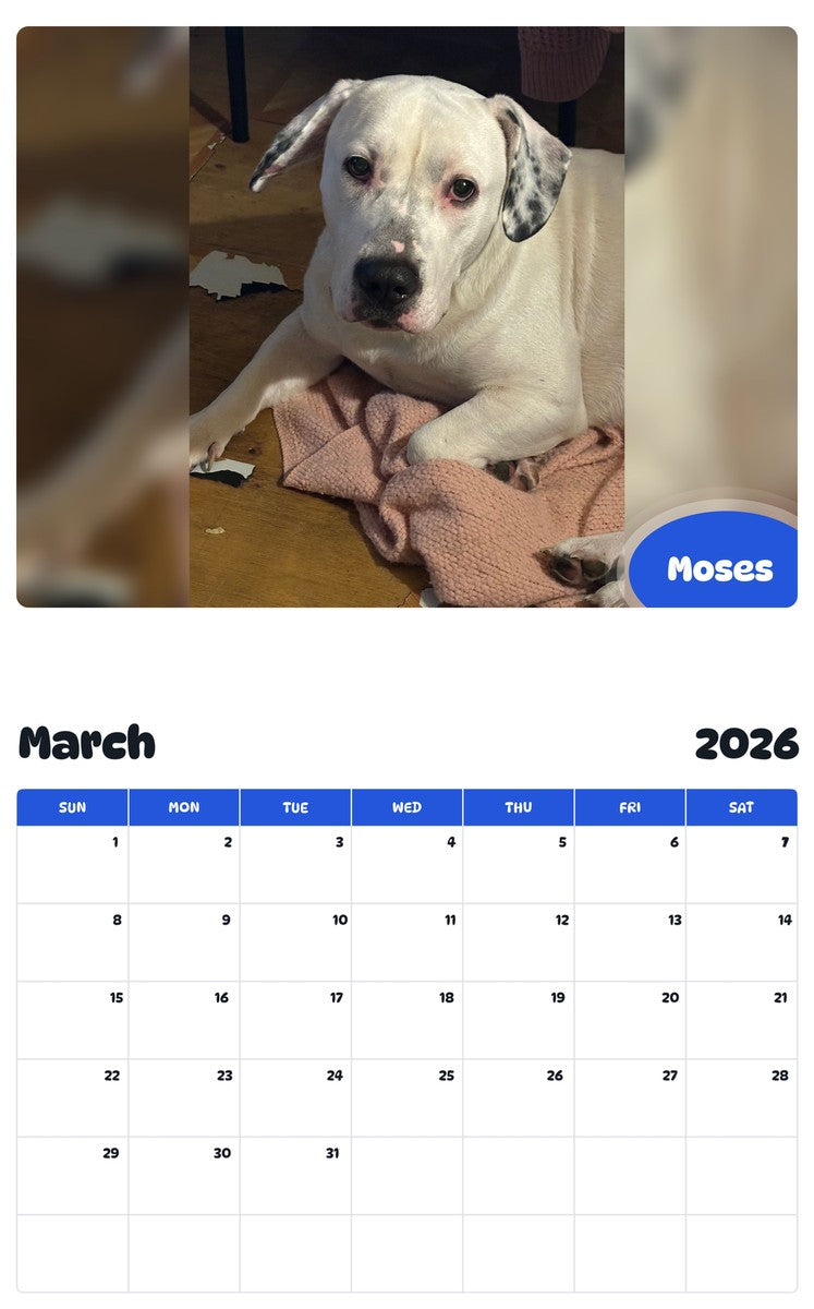 November 2025 - October 2026 Moses - Pawidols Pet Calendar